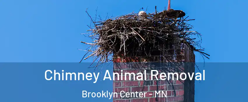 Chimney Animal Removal Brooklyn Center - MN