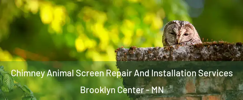  Chimney Animal Screen Repair And Installation Services Brooklyn Center - MN