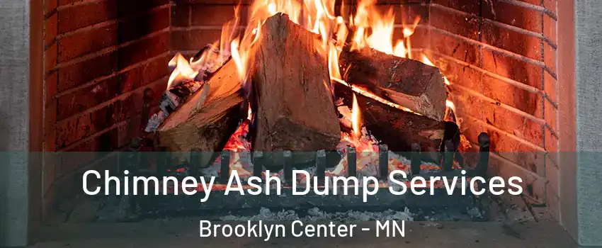  Chimney Ash Dump Services Brooklyn Center - MN