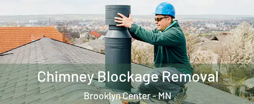  Chimney Blockage Removal Brooklyn Center - MN