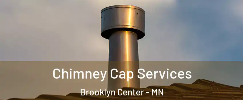  Chimney Cap Services Brooklyn Center - MN
