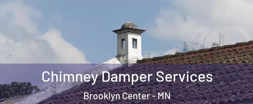  Chimney Damper Services Brooklyn Center - MN