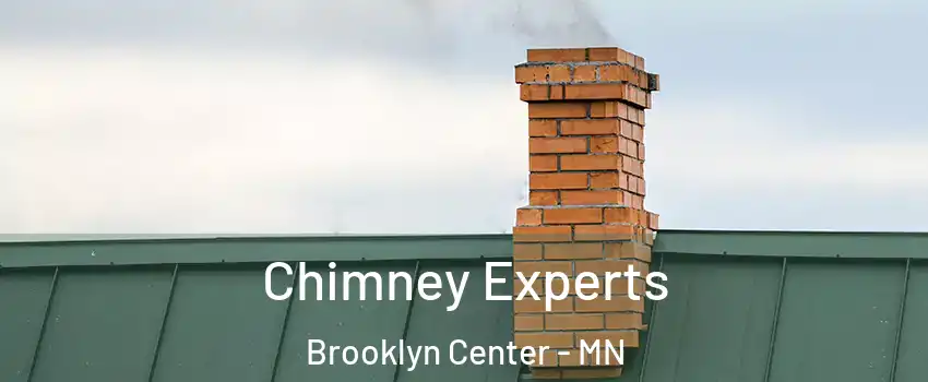  Chimney Experts Brooklyn Center - MN