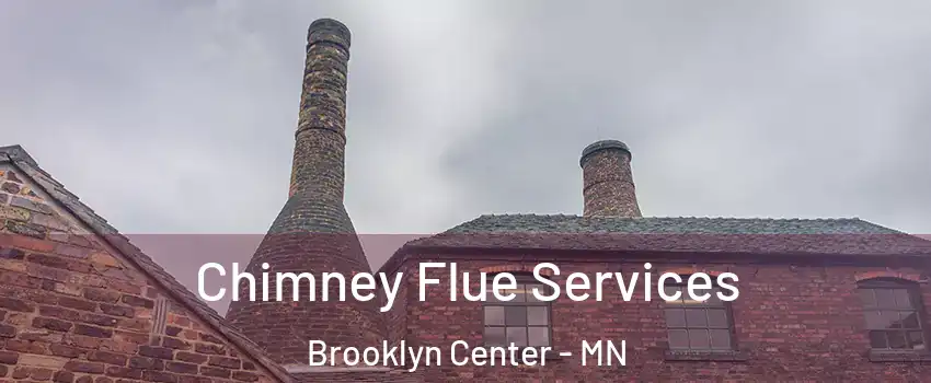  Chimney Flue Services Brooklyn Center - MN