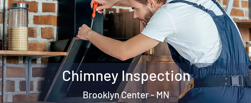 Chimney Inspection Brooklyn Center - MN