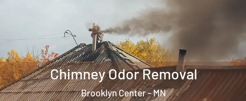  Chimney Odor Removal Brooklyn Center - MN