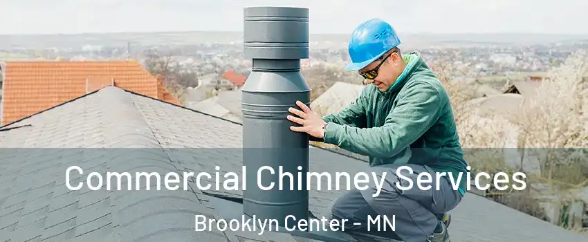  Commercial Chimney Services Brooklyn Center - MN