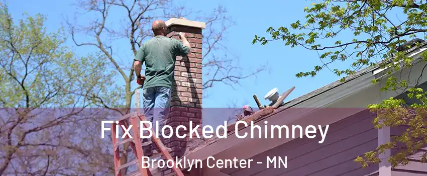  Fix Blocked Chimney Brooklyn Center - MN
