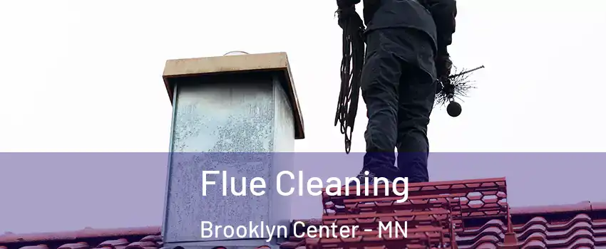  Flue Cleaning Brooklyn Center - MN