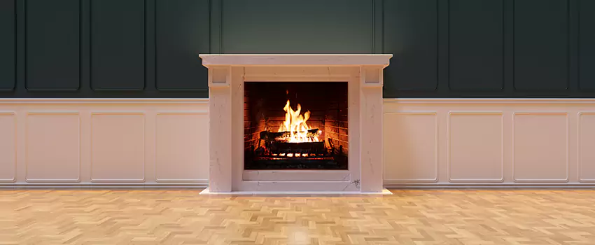 Napoleon Electric Fireplaces Inspection Service in Brooklyn Center, Minnesota