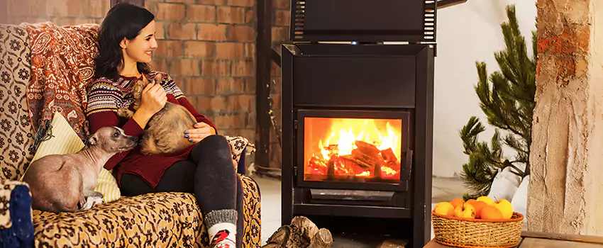 Wood Stove Chimney Cleaning Services in Brooklyn Center, MN