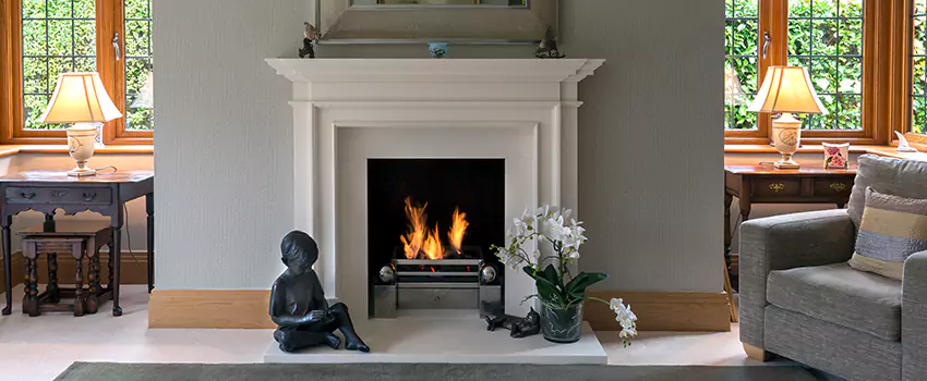 Astria Open-Hearth Wood Fireplaces Services in Brooklyn Center, MN