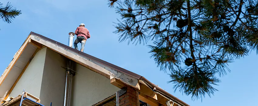 Birds Removal Contractors from Chimney in Brooklyn Center, MN