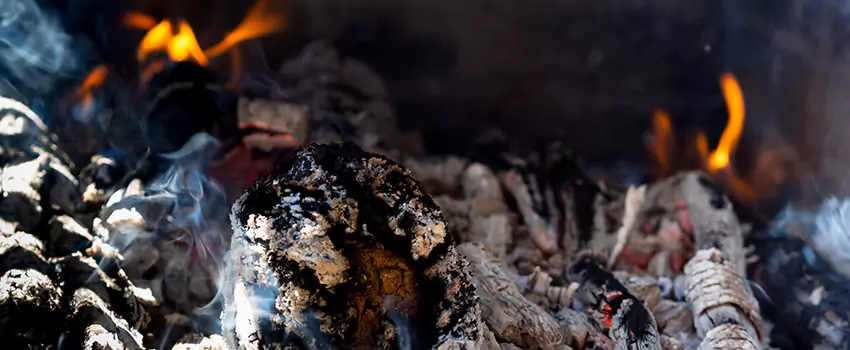 Creosote Removal Experts in Brooklyn Center, MN