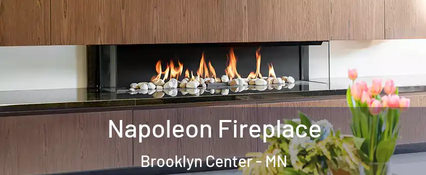  Napoleon Fireplace Brooklyn Center - MN